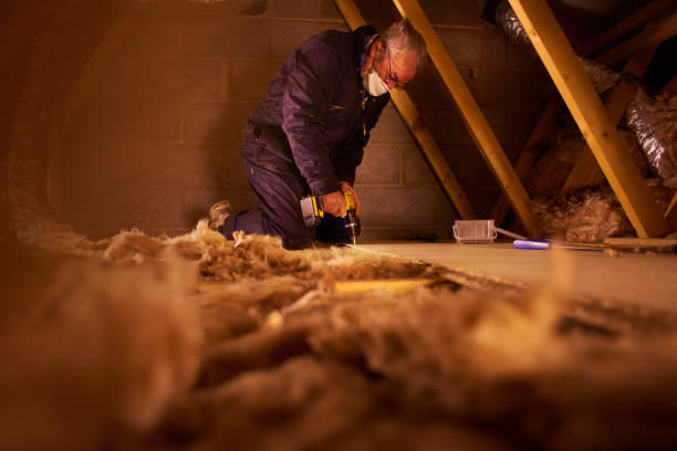 Best Eco-Friendly Insulation in Williston, ND